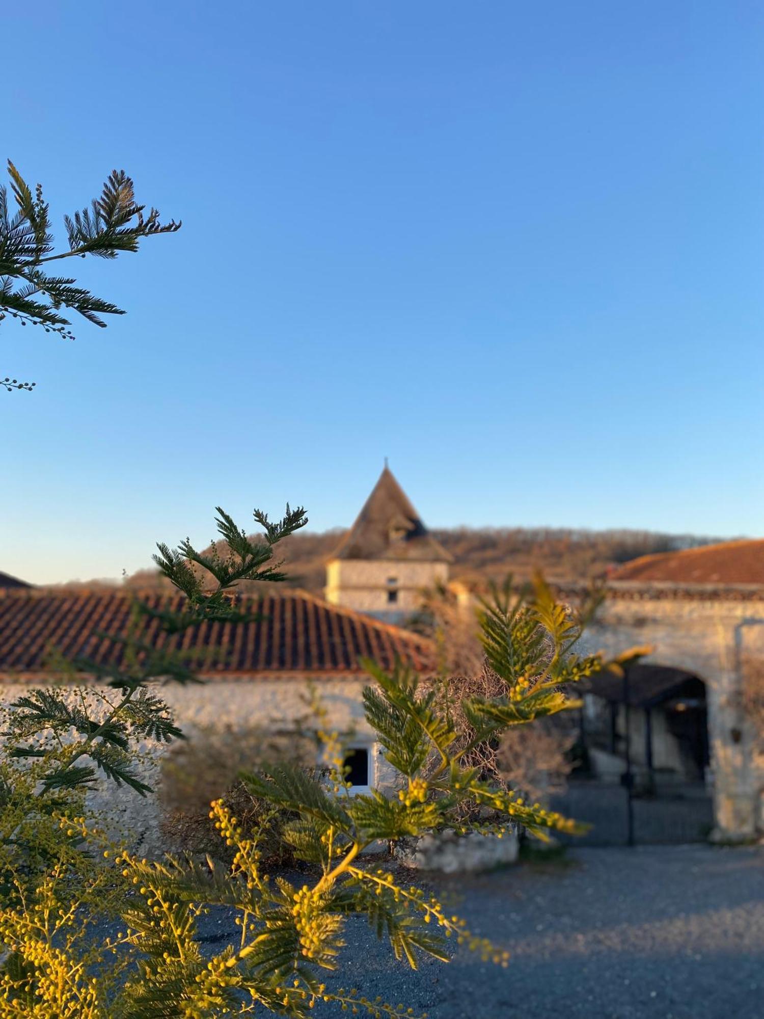 Hotel Domaine De Villot Sainte-Colombe-de-Villeneuve Exterior foto